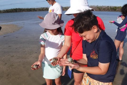 2-hour Shelling Boat Tour in the 10,000 Islands