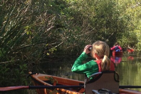 2Hour Everglades Kayak Safari Adventure Through Mangrove Tunnels