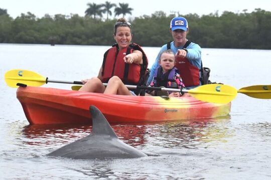 Mangrove Tunnels Kayak Tour Marco Island and Naples