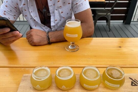 Small Group Craft Beer Tour in Naples, Florida